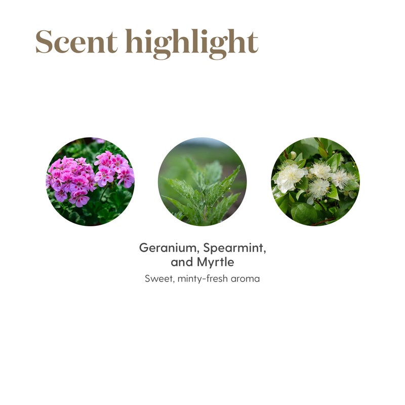 Young Living Endoflex Essential Oil 15ml by Young Living Essential Oils - Image 5